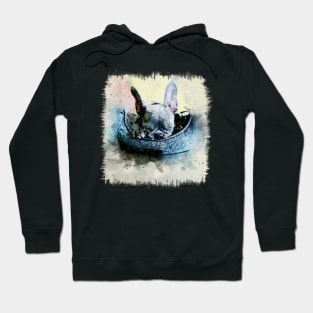 Cutie Sleeping Frenchie Puppy Bulldog Hoodie